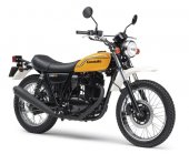 2012 Kawasaki 250 TR photo